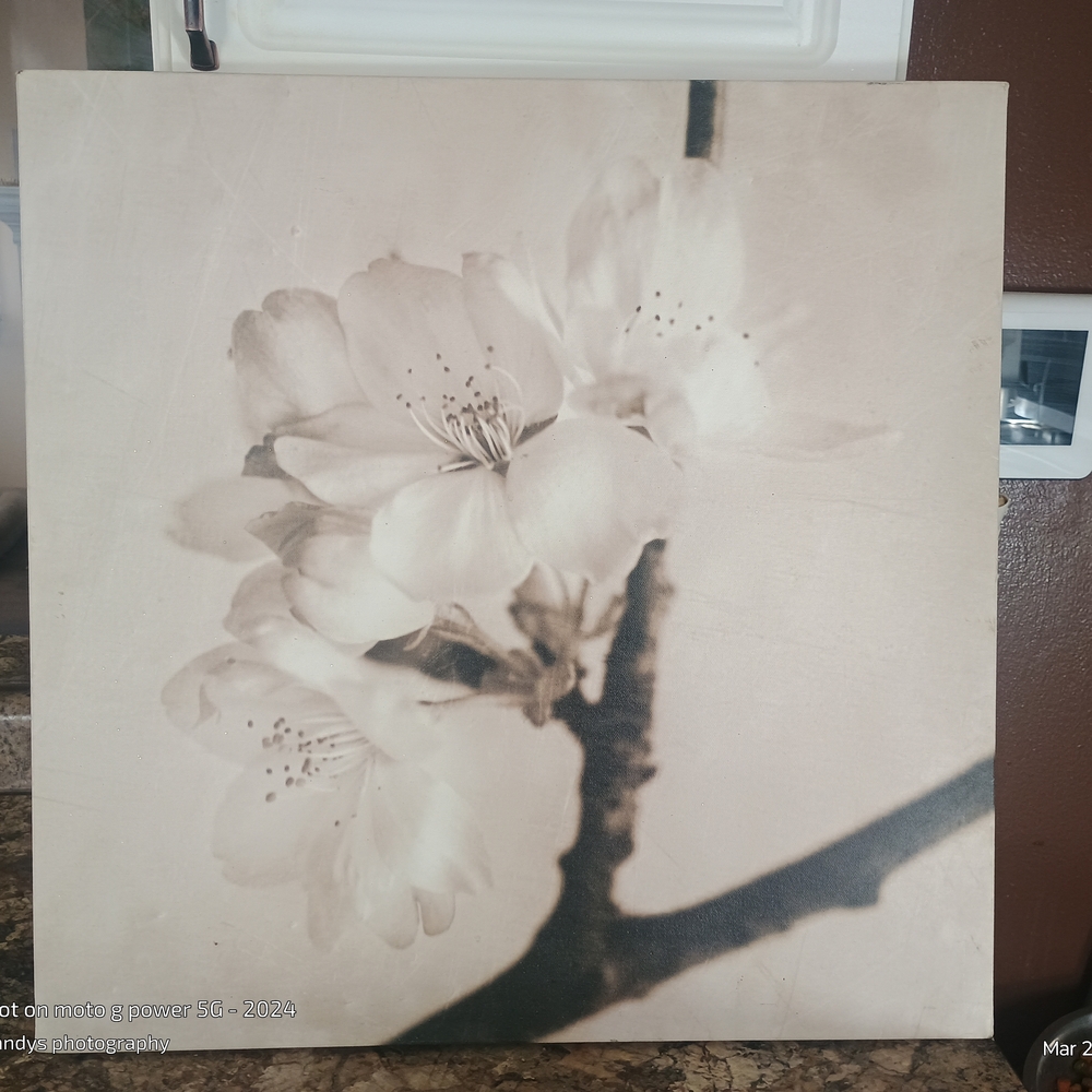 Floral Canvas Art in Cream and Brown